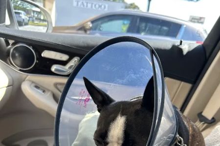 Northside Animal Hospital