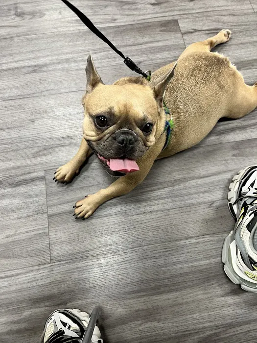 Northside Animal Hospital 12