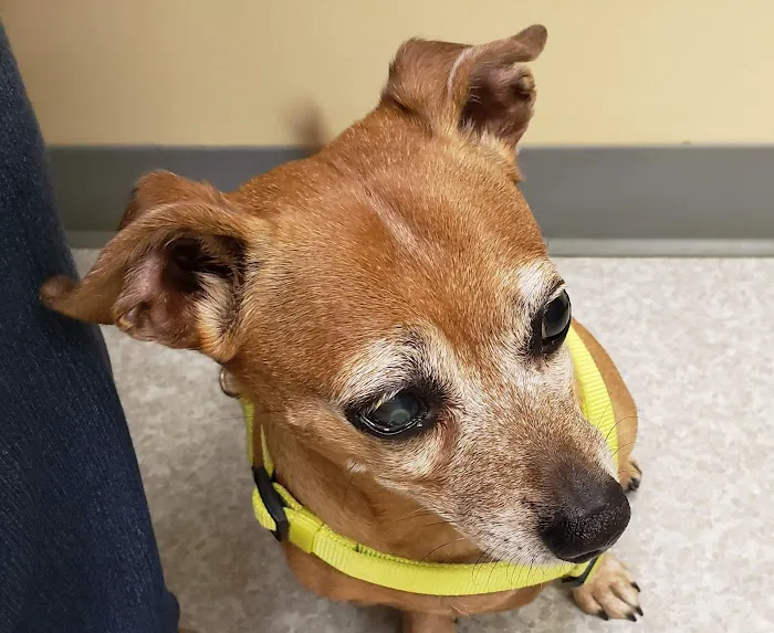 River Road Animal Clinic 1