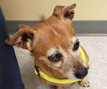 River Road Animal Clinic