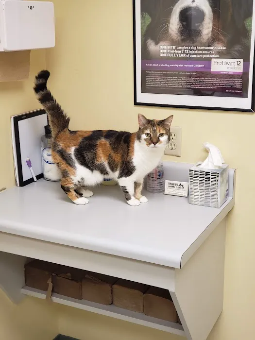 River Road Animal Clinic 2