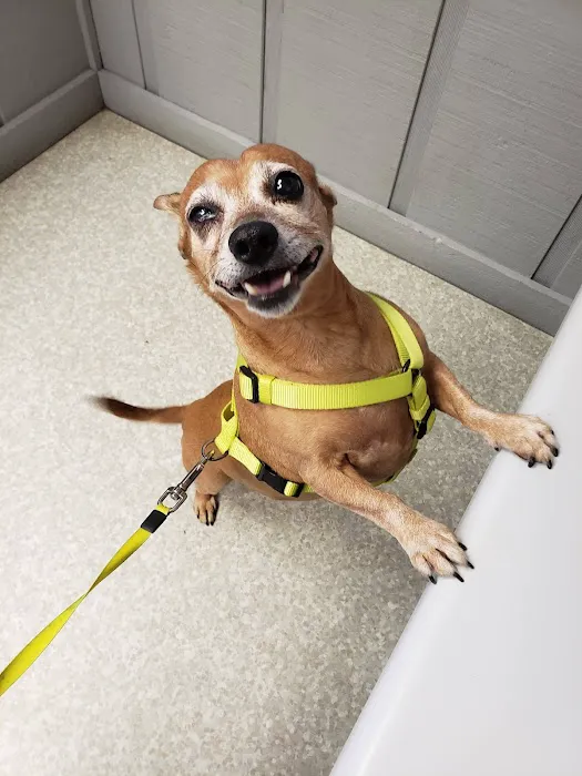 River Road Animal Clinic 4