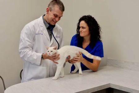 Northridge Veterinary Center