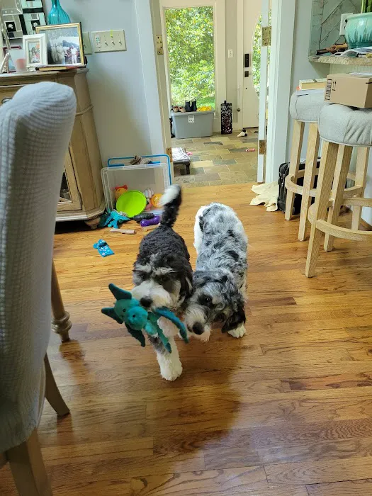 Midland Animal Hospital 6