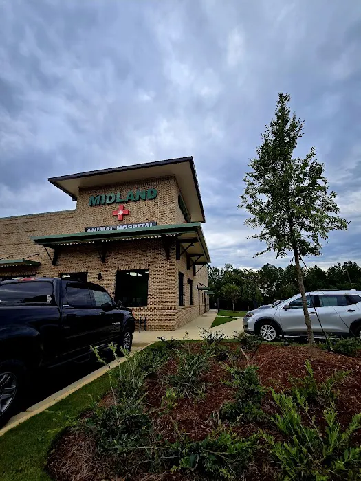 Midland Animal Hospital 8