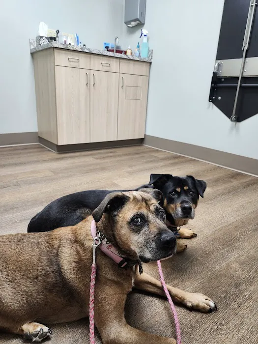 Midland Animal Hospital 7