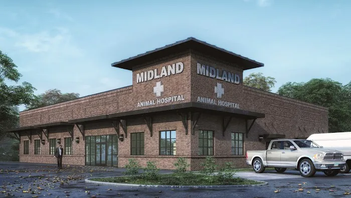 Midland Animal Hospital 10