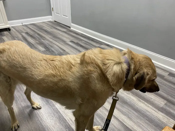 Rivertown Veterinary Emergency - After Hours Animal Clinic 12