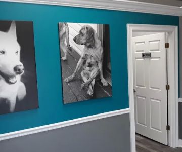 Rivertown Veterinary Emergency - After Hours Animal Clinic