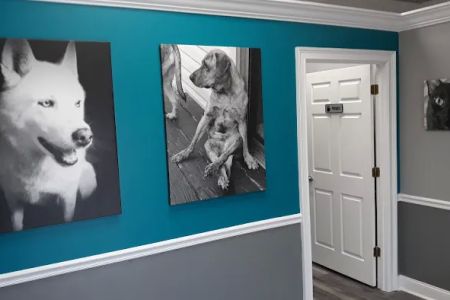 Rivertown Veterinary Emergency - After Hours Animal Clinic