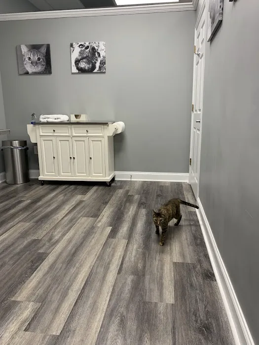 Rivertown Veterinary Emergency - After Hours Animal Clinic 12