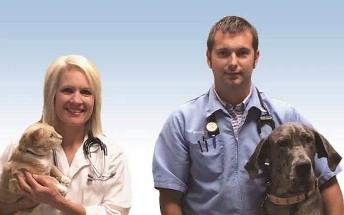 Double Churches Animal Clinic 12