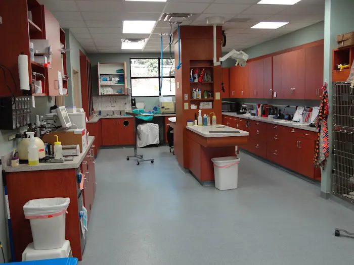 Double Churches Animal Clinic 12
