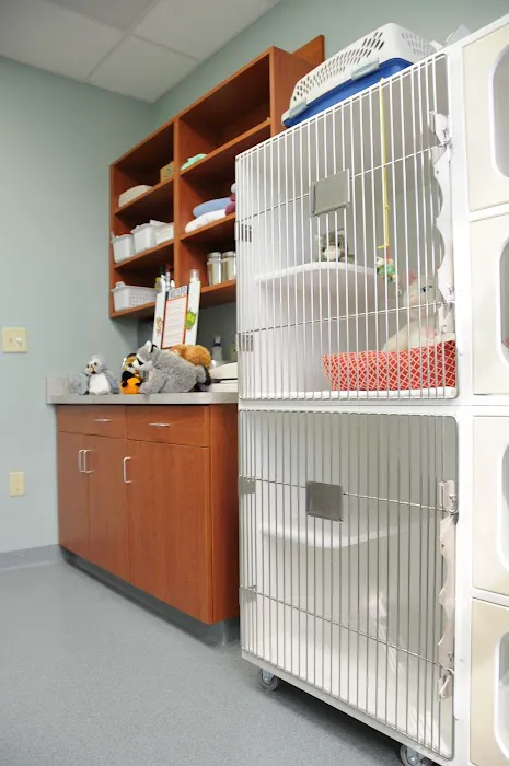 Double Churches Animal Clinic 12