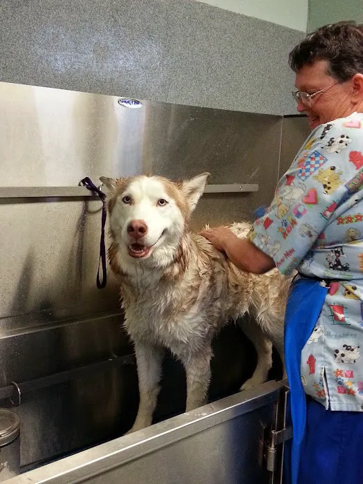 Double Churches Animal Clinic 12