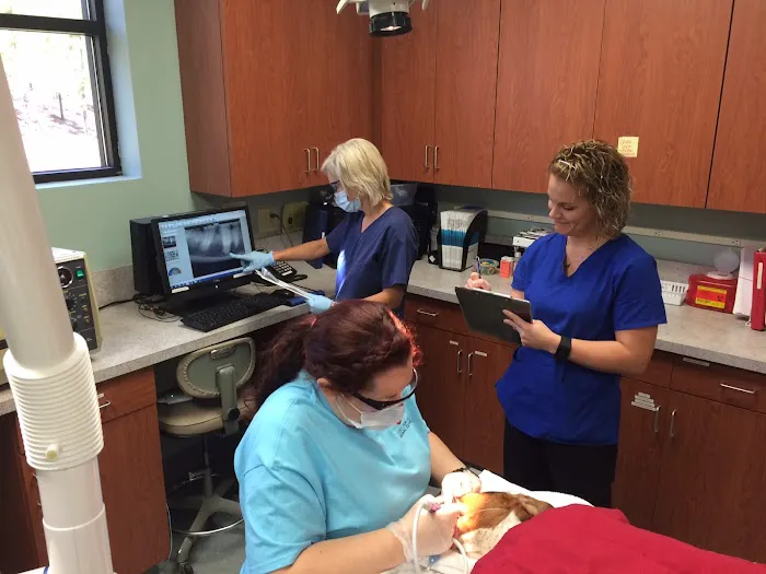 Dr. Shannon Wylie, DVM 12