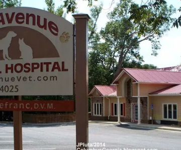 2nd Avenue Animal Hospital