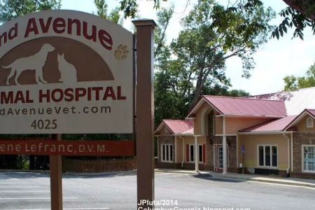 2nd Avenue Animal Hospital