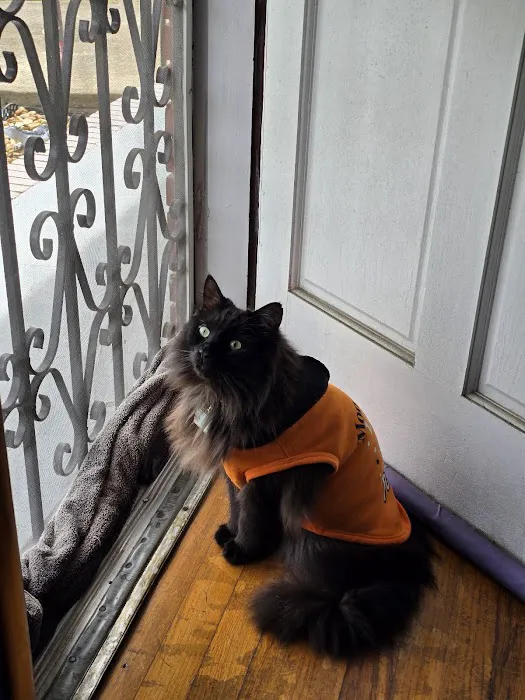 Uptown Veterinary Clinic 3