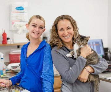 River City Veterinary Hospital