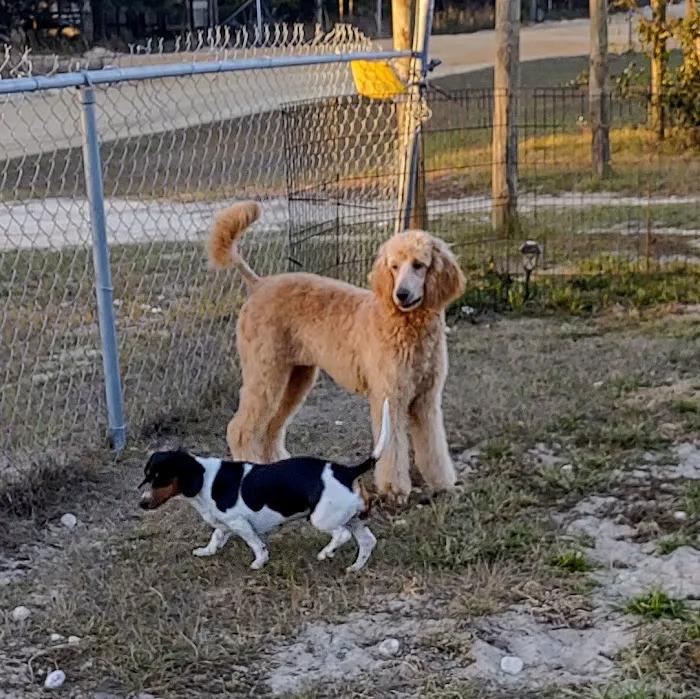 River City Veterinary Hospital 7