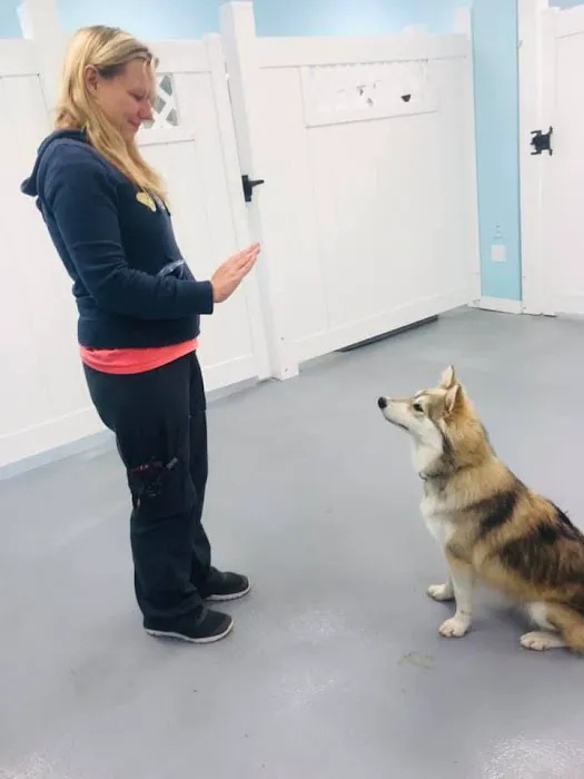 River City Veterinary Hospital 2