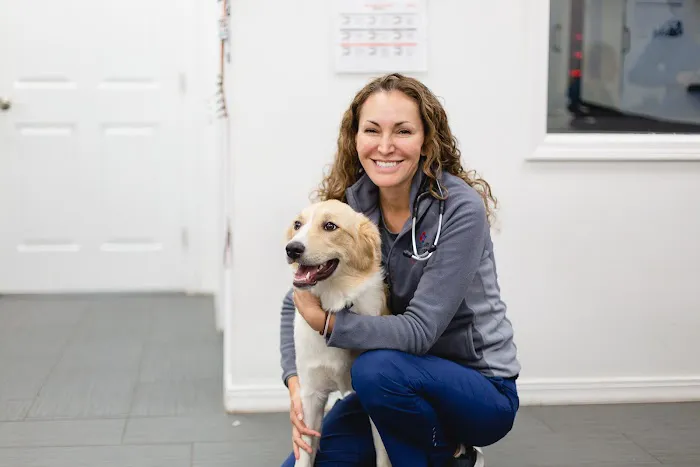 River City Veterinary Hospital 4