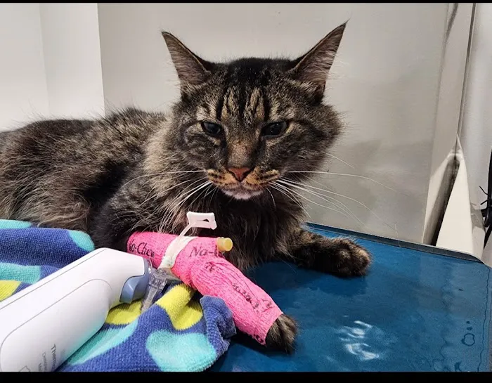 Animal Health Center of East Palatka 4