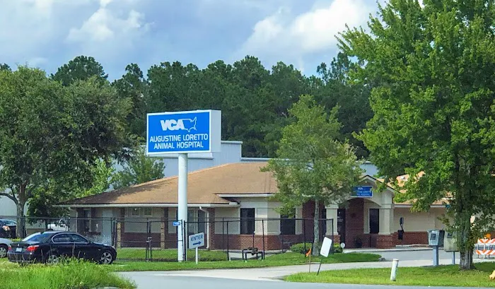 VCA Augustine Loretto Animal Hospital 3