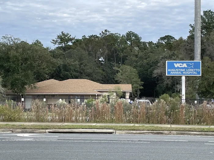 VCA Augustine Loretto Animal Hospital 1