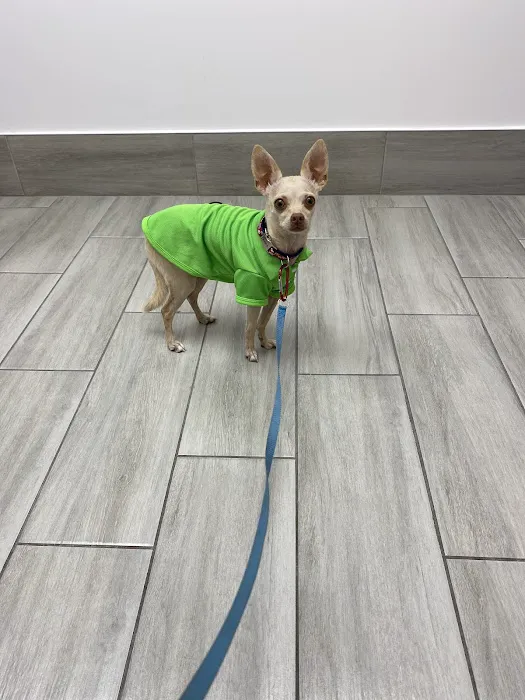 Jax Vets Affordable Animal Hospital at San Jose 10