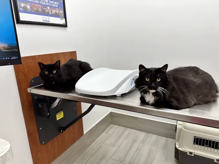 Jax Vets Affordable Animal Hospital at San Jose 4