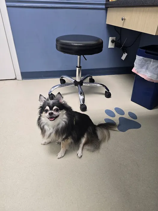 Scott Mill Animal Hospital 3
