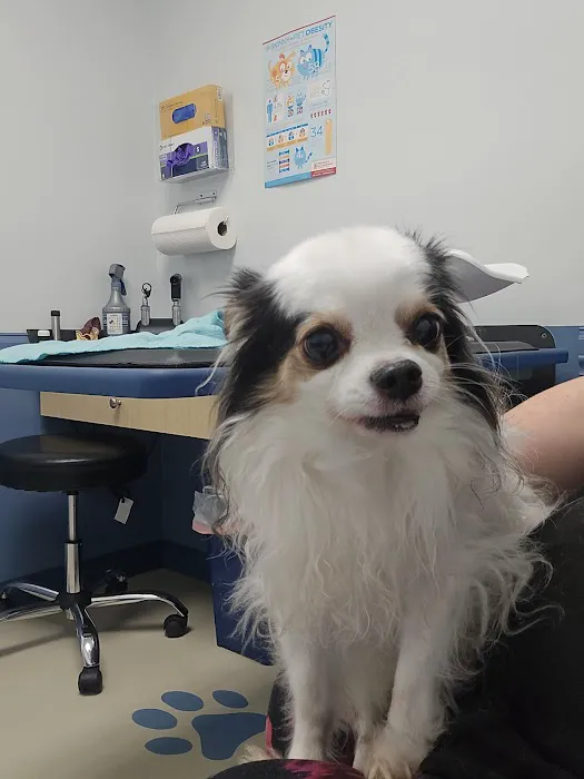 Scott Mill Animal Hospital 2