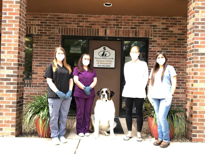 Animal Clinic of Mandarin 12