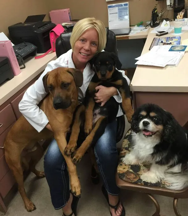 Animal Clinic of Mandarin 12