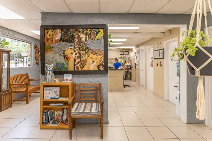 San Jose Beauclerc Animal Hospital 2