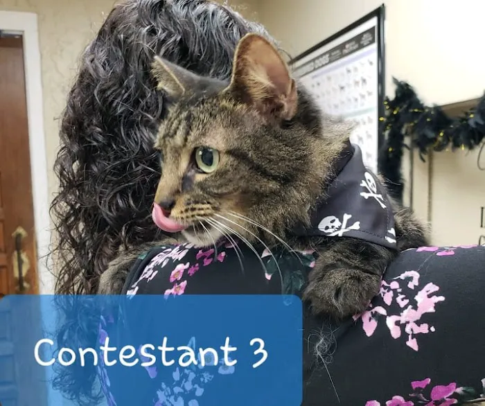 San Jose Beauclerc Animal Hospital 4