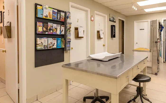 San Jose Beauclerc Animal Hospital 9