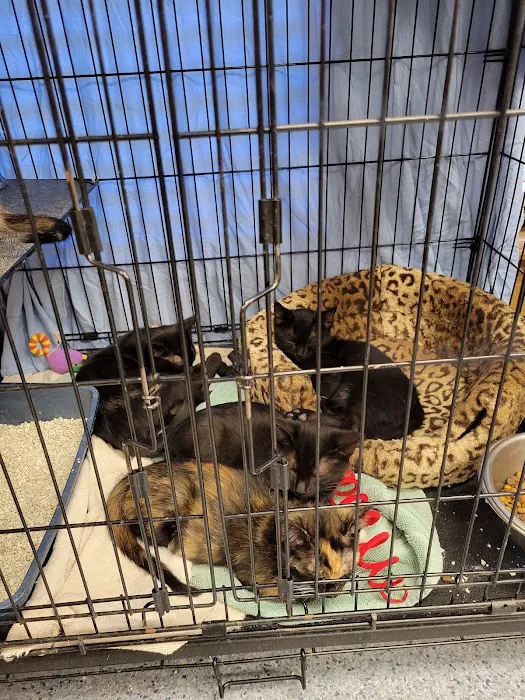 Mandarin Veterinary Clinic 2