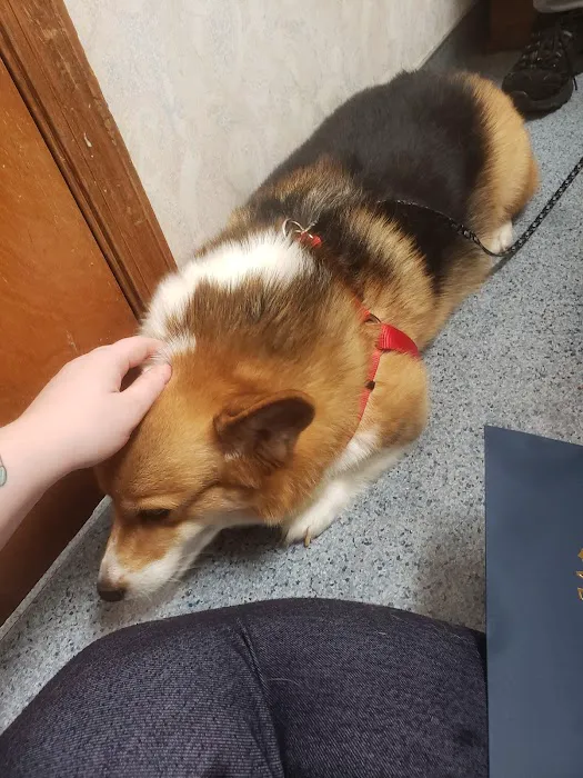Mandarin Veterinary Clinic 3