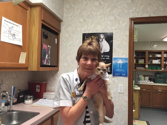 Mandarin Veterinary Clinic 6