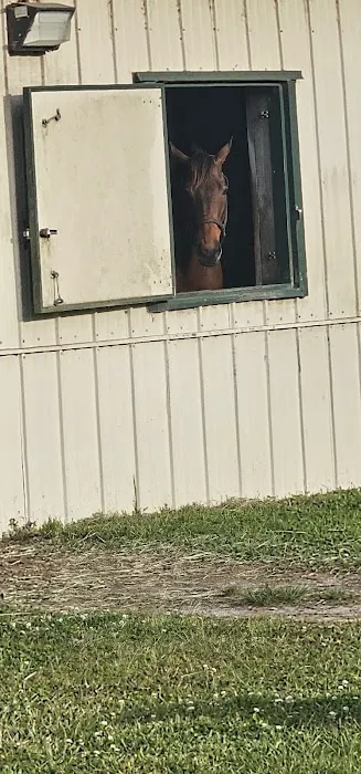 Mandarin Equine Veterinary 12