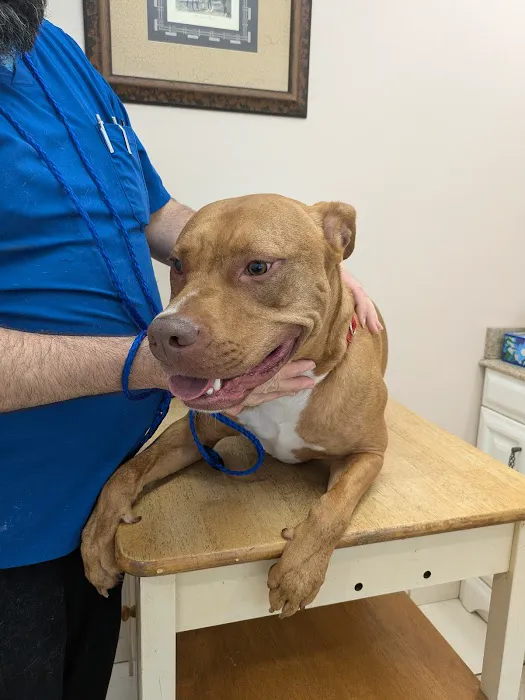 Russell Road Animal Clinic 12