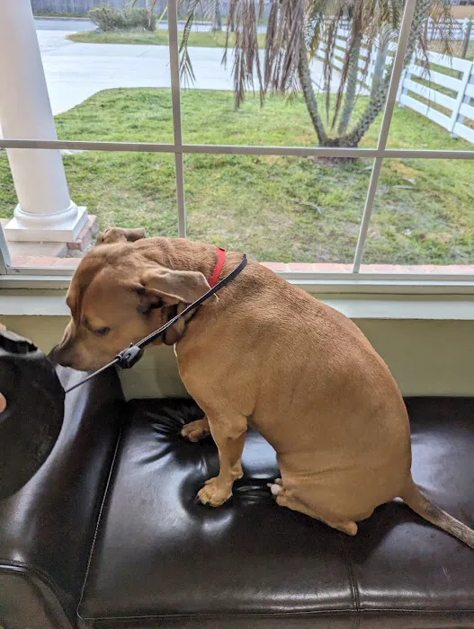 Russell Road Animal Clinic 12