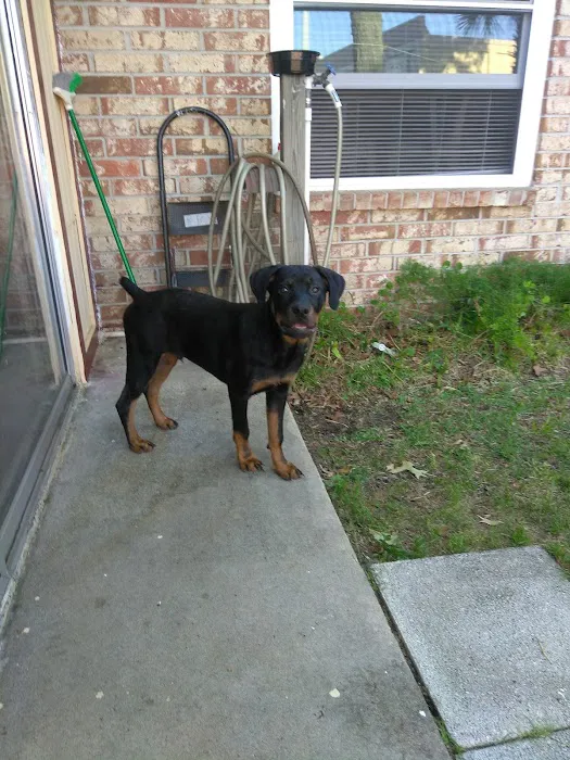 Russell Road Animal Clinic 12