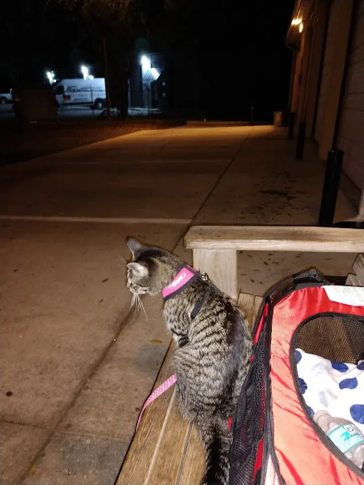 Maverick Animal Clinic 4