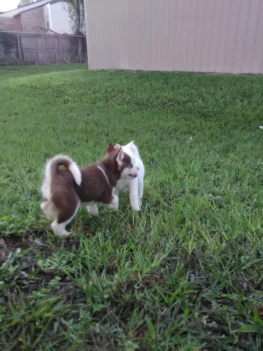 Maverick Animal Clinic 6