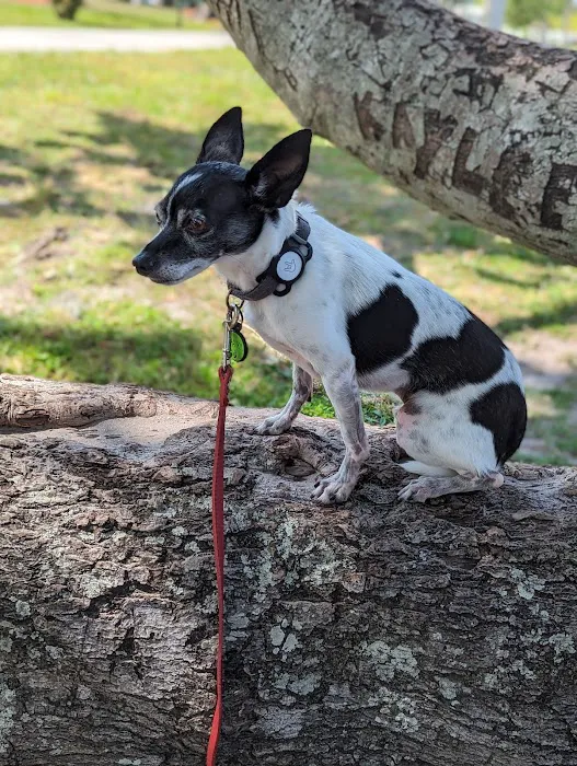 Maverick Animal Clinic 9
