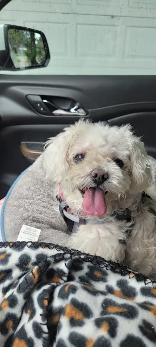 Clay County Animal Hospital 9